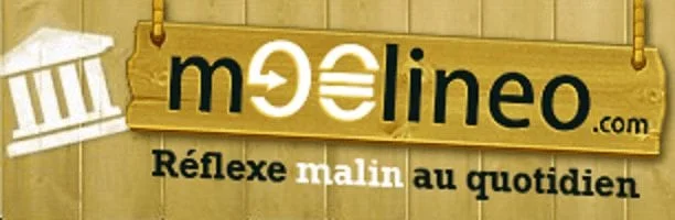 Moolineo logo
